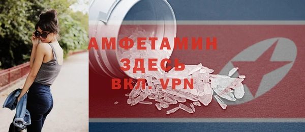 гидра Снежногорск