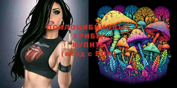 a pvp Арсеньев