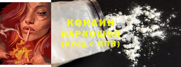 гидра Снежногорск
